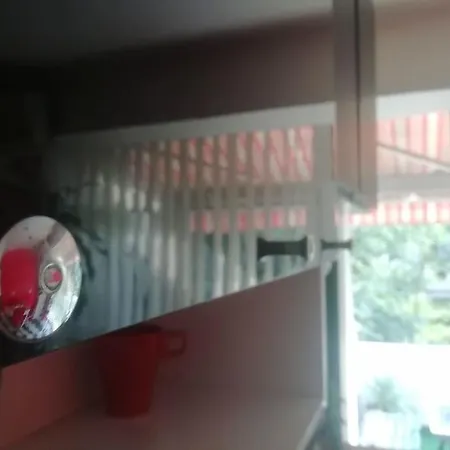 Palms: Modern With A Large Terrace *