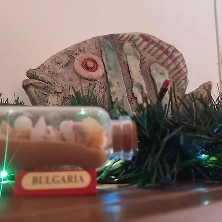 Palms: Modern With A Large Terrace Apartament Sofia