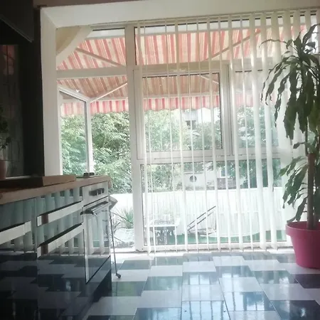 Palms: Modern With A Large Terrace Apartament Sofia