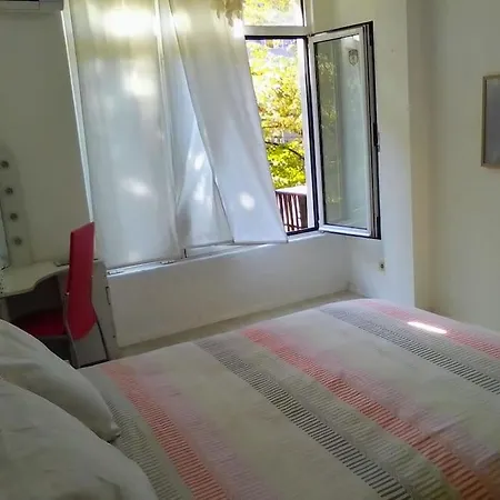 Palms: Modern With A Large Terrace *