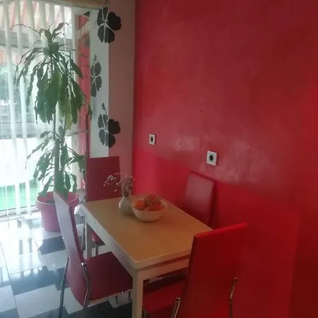 Palms: Modern With A Large Terrace