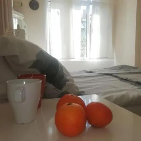 Palms: Modern With A Large Terrace * Sofia