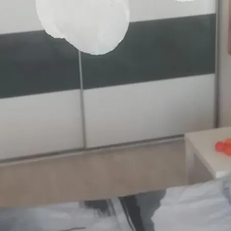 Palms: Modern With A Large Terrace