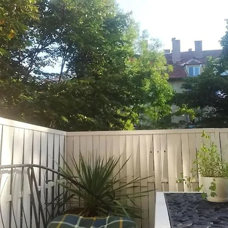 Palms: Modern With A Large Terrace Daire