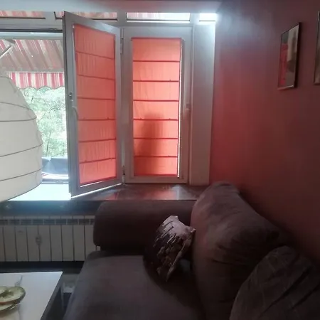 Palms: Modern With A Large Terrace *