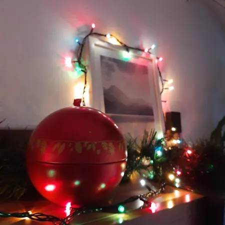 Palms: Modern With A Large Terrace * סופיה