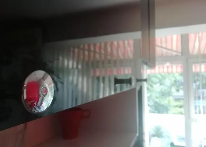 Palms: Modern With A Large Terrace *