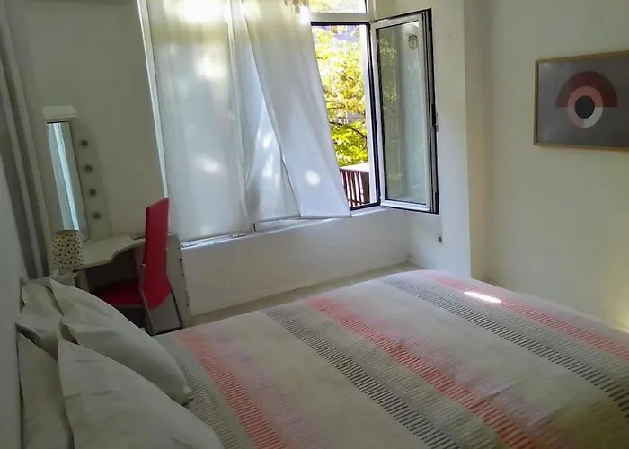 Palms: Modern With A Large Terrace *