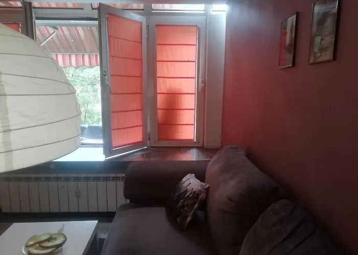 Palms: Modern With A Large Terrace *