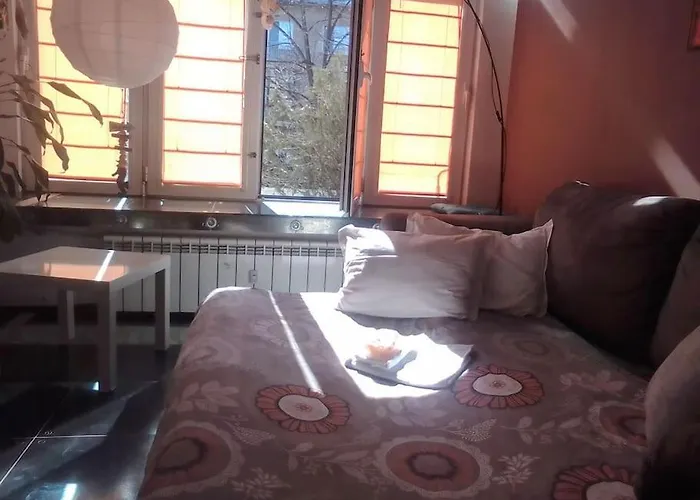 公寓 Palms: Modern With A Large Terrace