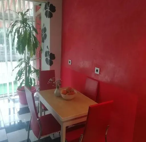 Palms: Modern With A Large Terrace