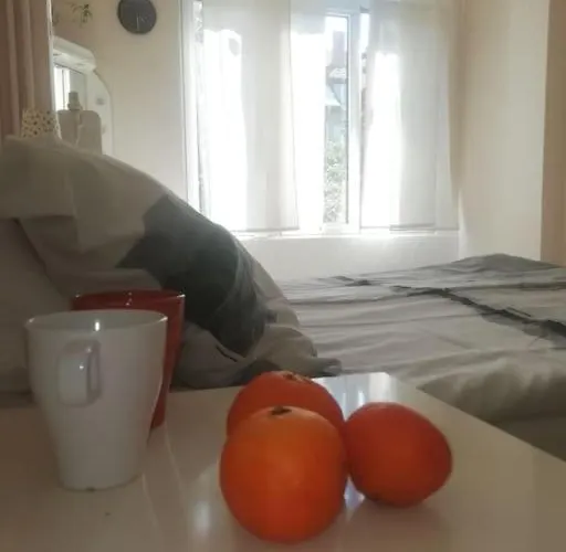 Palms: Modern With A Large Terrace * Sofia