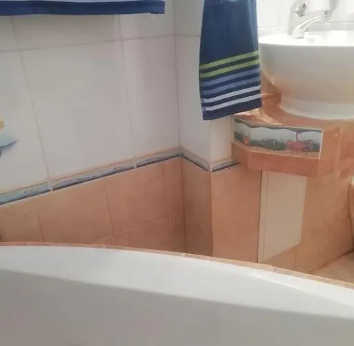 Palms: Modern With A Large Terrace